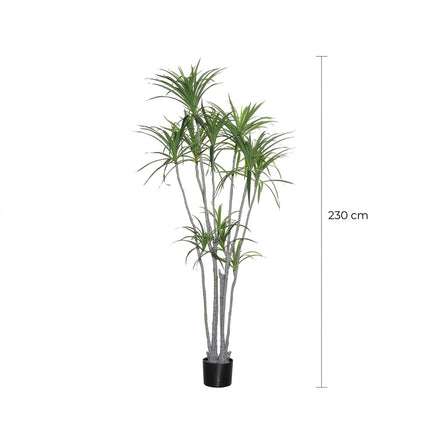Kunstplant Dracaena Marginata - ↕230cm