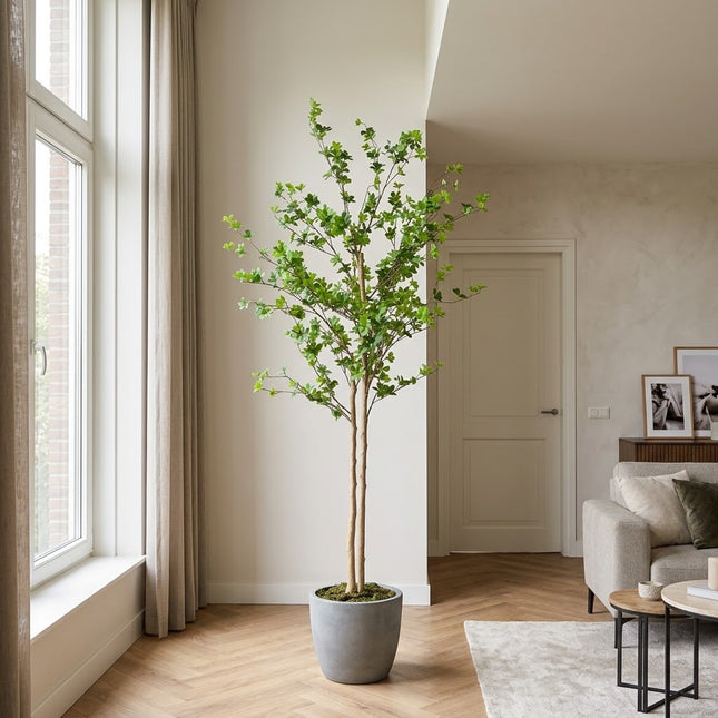 Kunstplant Enkianthus perulatus - ↕240cm