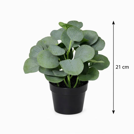 Kunstplant Eucalyptus - ↕21cm - Ø9cm