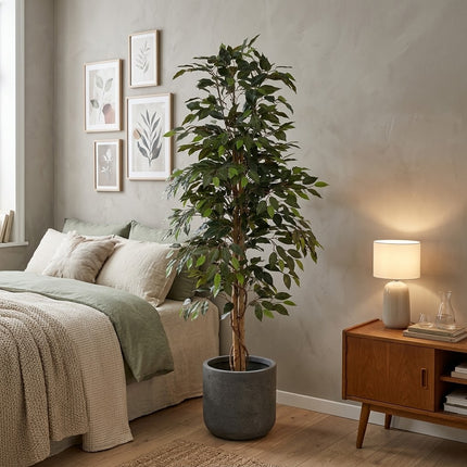Kunstplant Ficus Benjamina - ↕160cm - Ø18cm