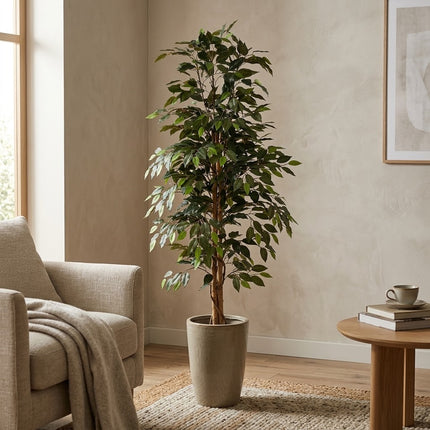 Kunstplant Ficus Benjamina - ↕160cm - Ø18cm