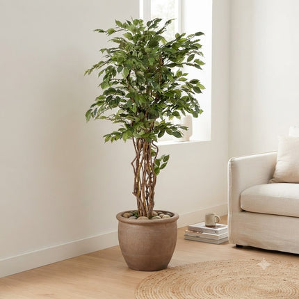 Kunstplant Ficus Liana - Vioolbladplant - ↕170cm