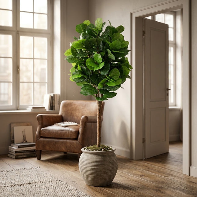 Kunstplant Ficus Lyrata - ↕180cm - Ø23cm