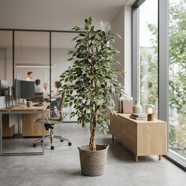Kunstplant Ficus benjamina variegata - ↕160cm - Ø17cm