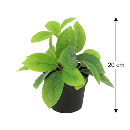 Kunstplant Hoya Groen - ↕20cm - Ø9cm