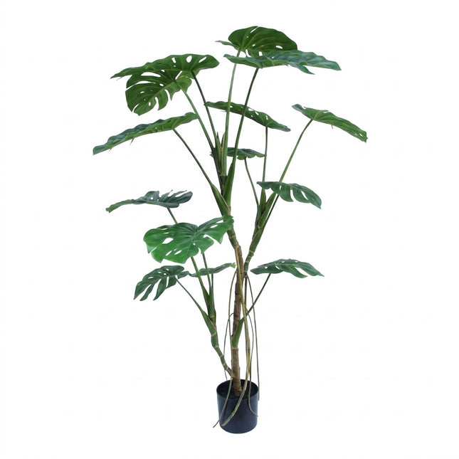 Kunstplant Monstera - ↕150cm