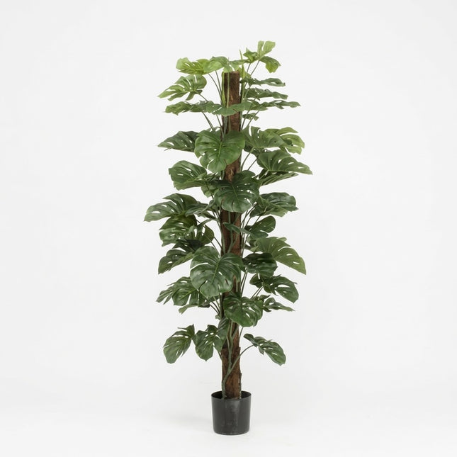 Kunstplant Monstera Deliciosa - ↕180cm - Ø17cm