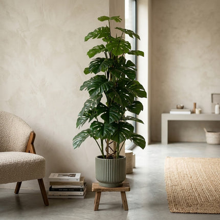 Kunstplant Monstera Monkey Leaf - ↕125cm - Ø17cm