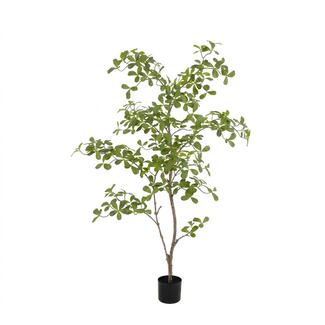 Kunstplant Moringa - ↕150cm