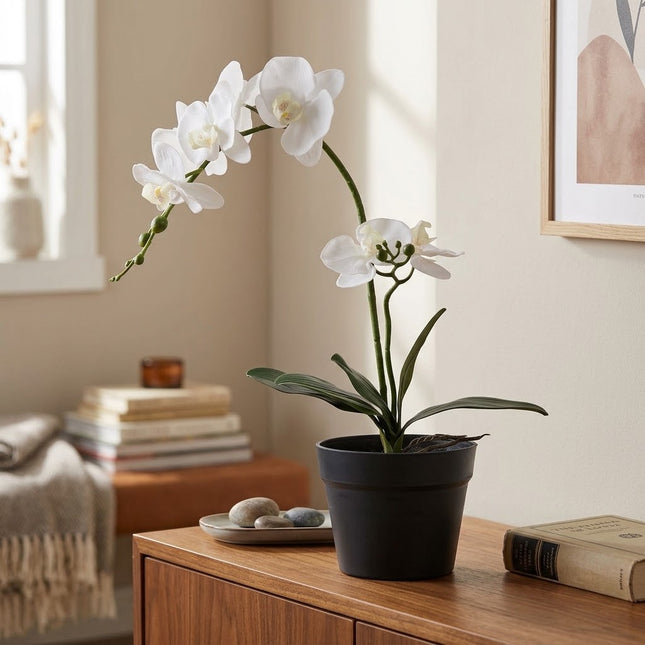 Kunstplant Orchidee - ↕49cm