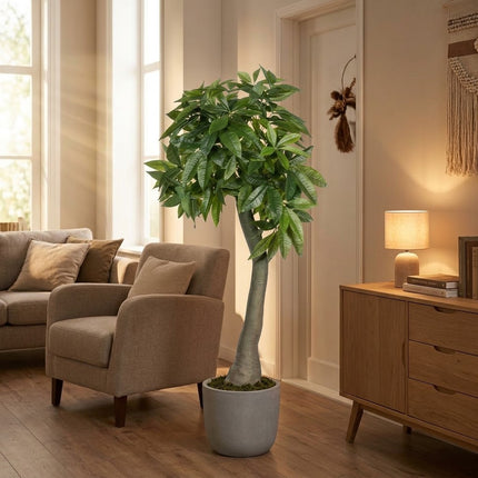 Kunstplant Pachira - ↕170cm