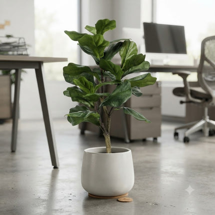 Kunstplant Ficus Lyrata - Tabaksplant - ↕90cm - Ø12cm