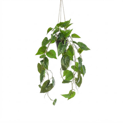 Kunstplant Philodendron Scandens - Klimmende Boomliefhebber - ↕80cm - Ø18cm