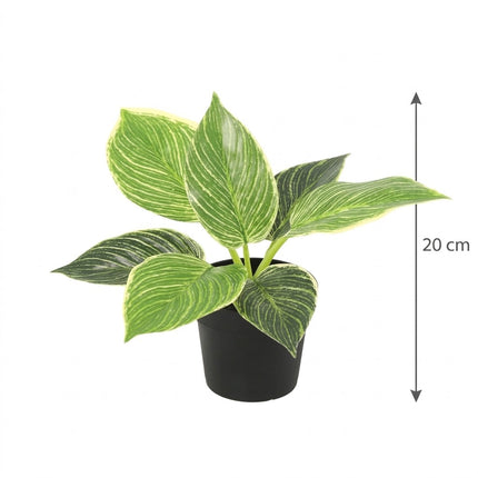 Kunstplant Philodendron Birkin - ↕20cm - Ø9cm