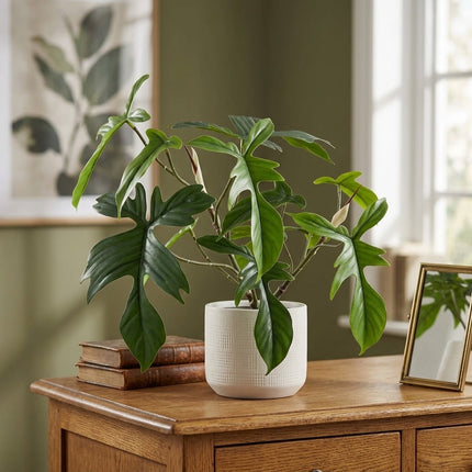 Kunstplant Philodendron Florida - ↕44cm
