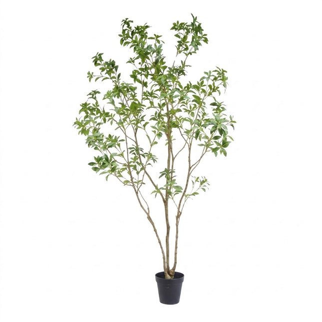 Kunstplant Pieris Japonica - ↕240cm