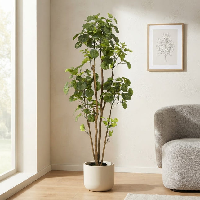 Kunstplant Polyscias - Aralia - ↕160cm - Ø14cm