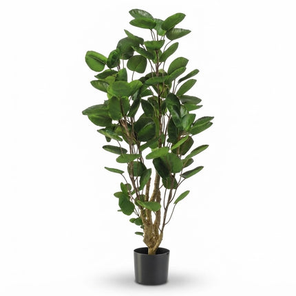 Kunstplant Polyscias boom - ↕105cm