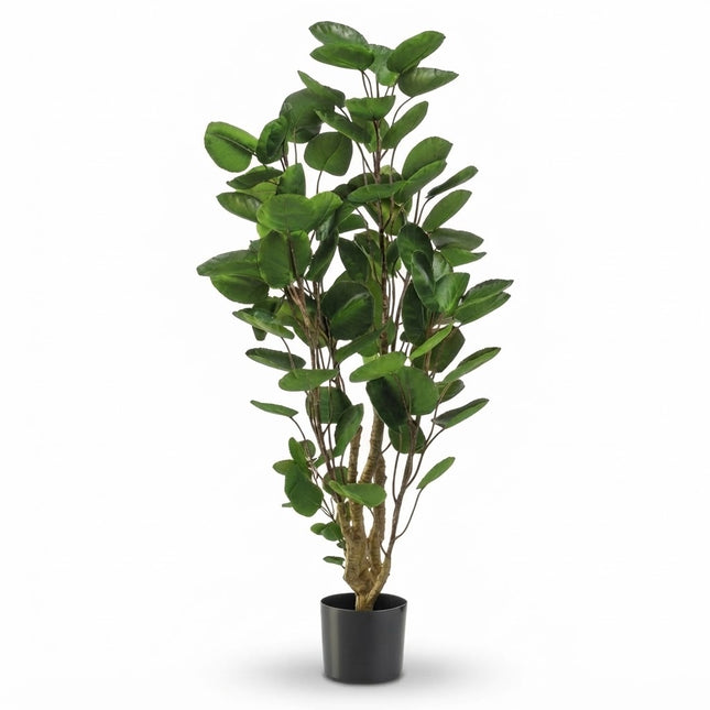 Kunstplant Polyscias boom - ↕105cm