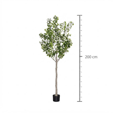 Kunstplant Queensland flesboom - ↕200cm
