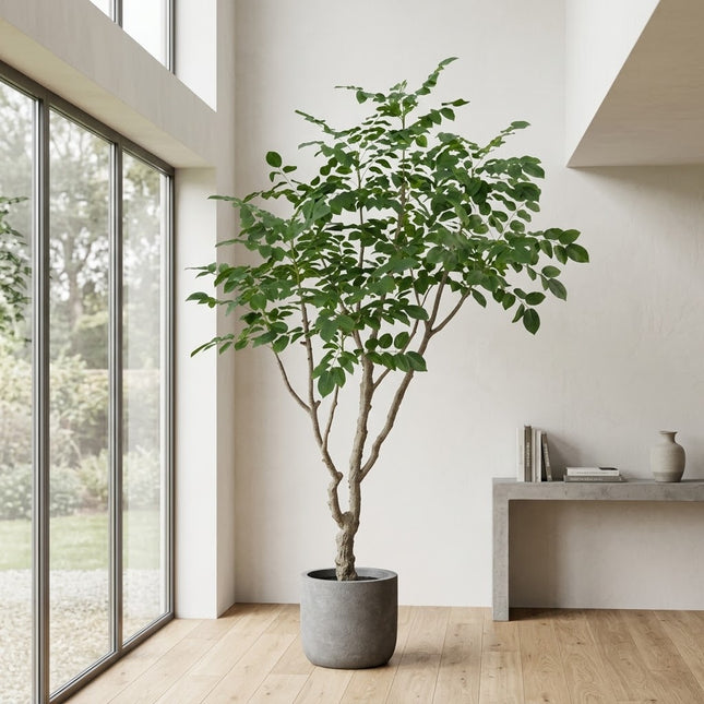Kunstplant Sandelhout - ↕240cm