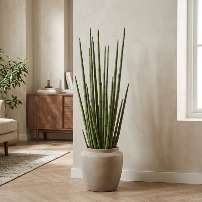 Kunstplant Sansevieria Cylindrica - ↕120cm