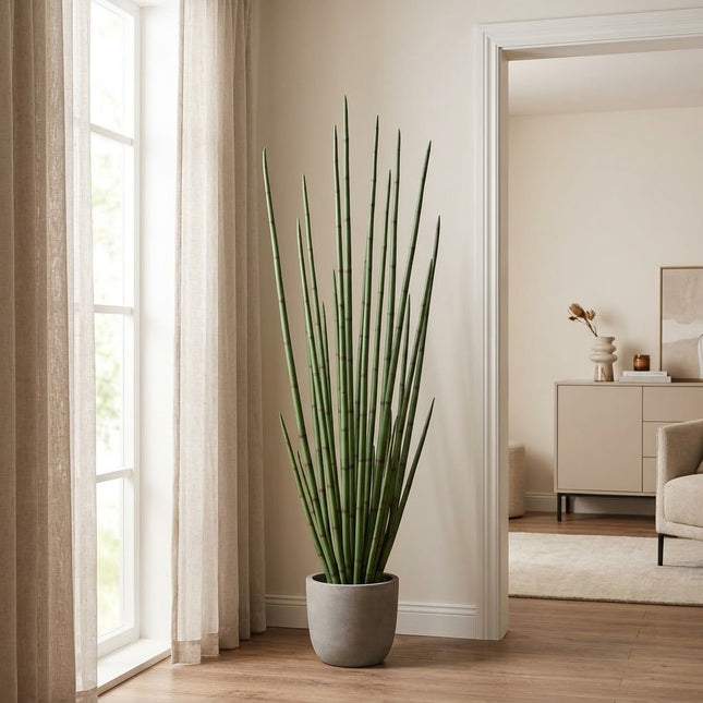 Kunstplant Sansevieria Cylindrica - ↕180cm