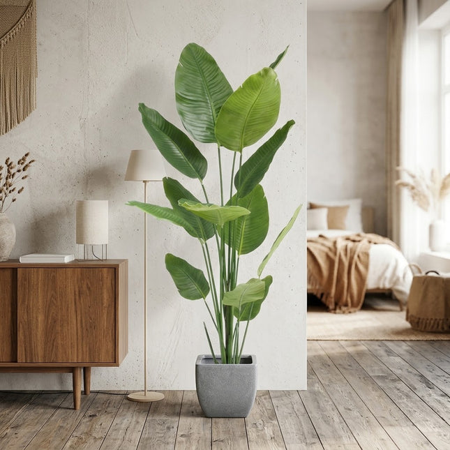 Kunstplant Strelitzia - ↕180cm