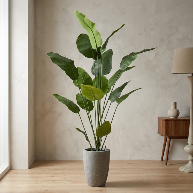 Kunstplant Strelitzia - ↕210cm