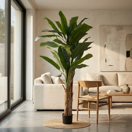 Kunstplant Bananenplant - ↕205cm