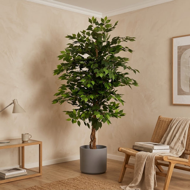 Kunstplant Ficus boom - ↕180cm