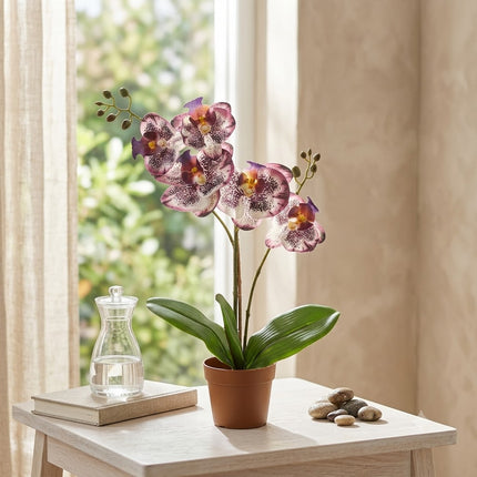 Kunstplant Orchidee Phalaenopsis Paars - ↕41cm