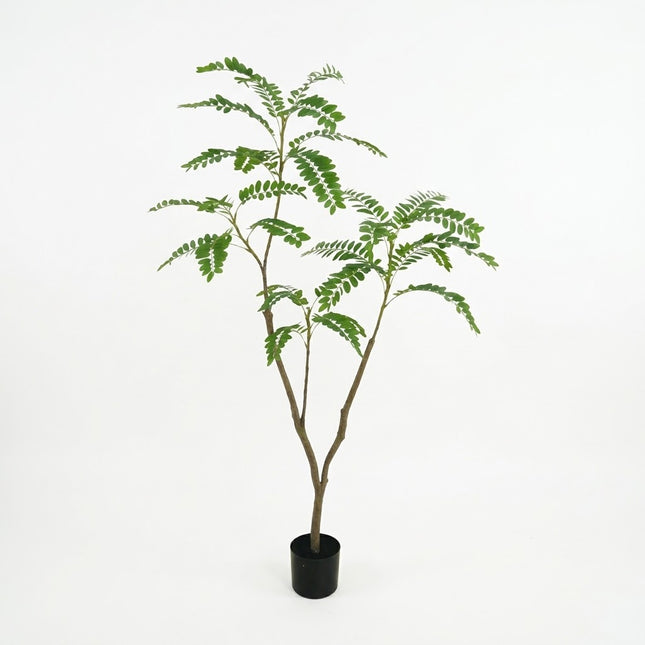 Kunstplant Ruscus - ↕150cm