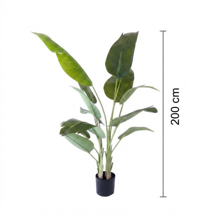 Kunstplant Strelitzia - ↕200cm