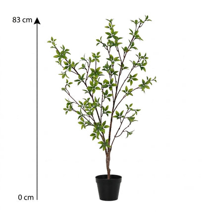Kunstplant Myrtus - ↕83cm