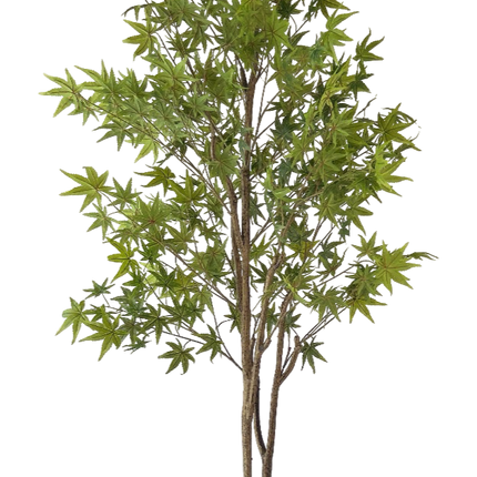 Kunstplant Groene Esdoorn - ↕180cm