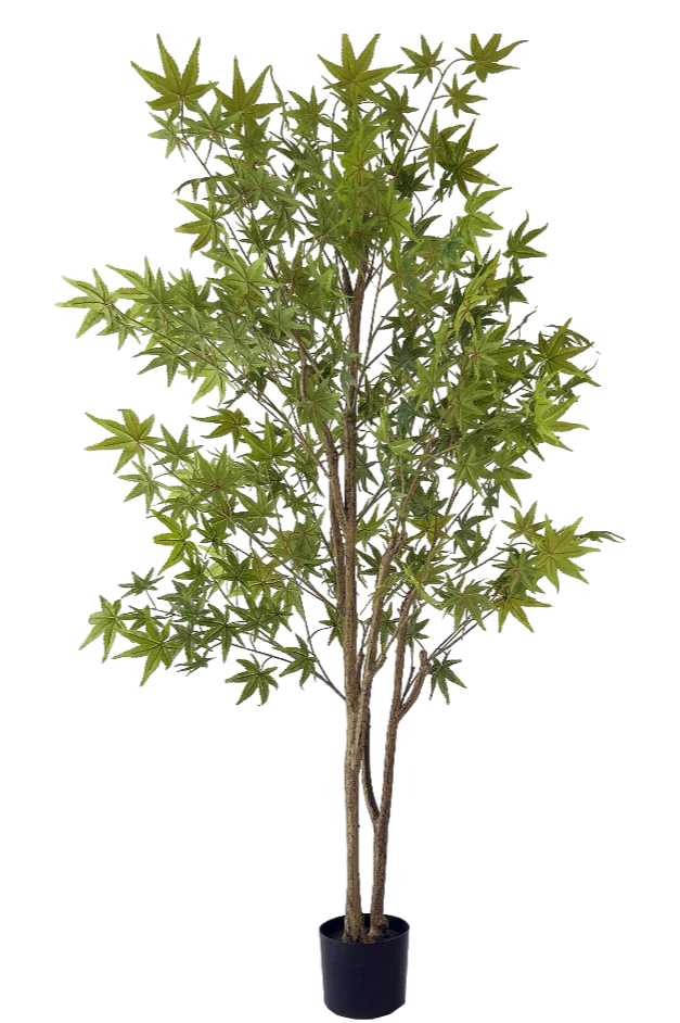 Kunstplant Groene Esdoorn - ↕180cm