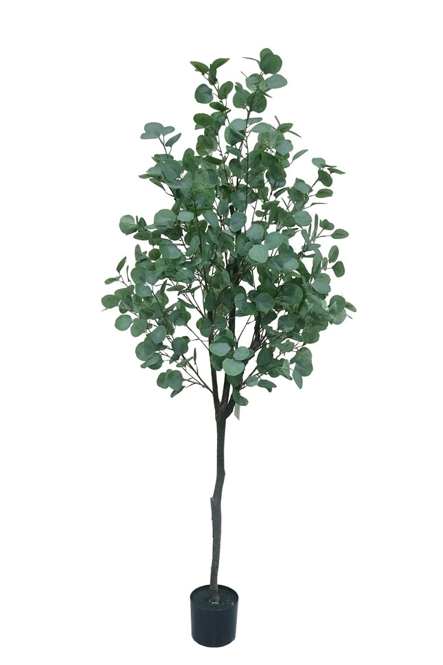 Kunstplant Geldboom - ↕180cm