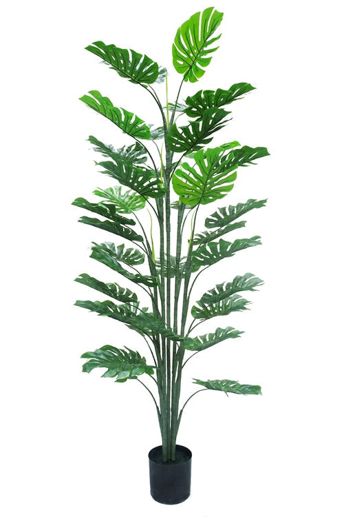 Kunstplant Monstera - ↕160cm