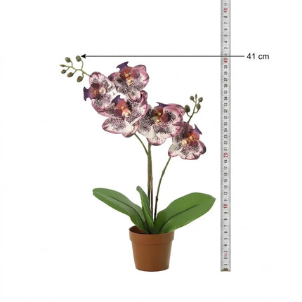 Kunstplant Orchidee Phalaenopsis Paars - ↕41cm