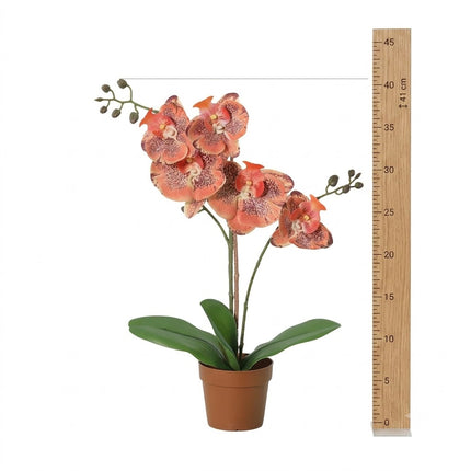Kunstplant Orchidee Phalaenopsis Oranje - ↕41cm