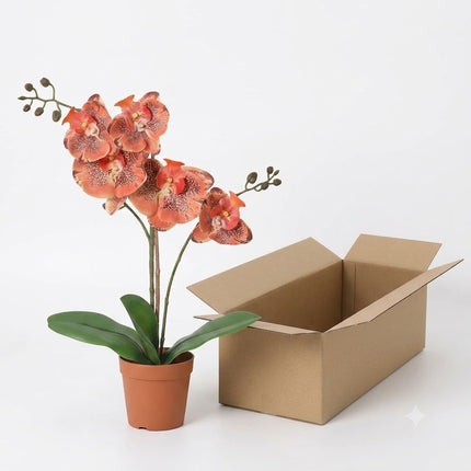 Kunstplant Orchidee Phalaenopsis Oranje - ↕41cm