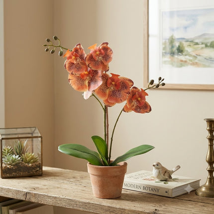Kunstplant Orchidee Phalaenopsis Oranje - ↕41cm