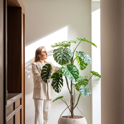 Kunstplant Monstera - ↕180cm