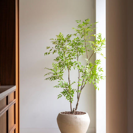 Kunstboom Nandina - ↕180cm