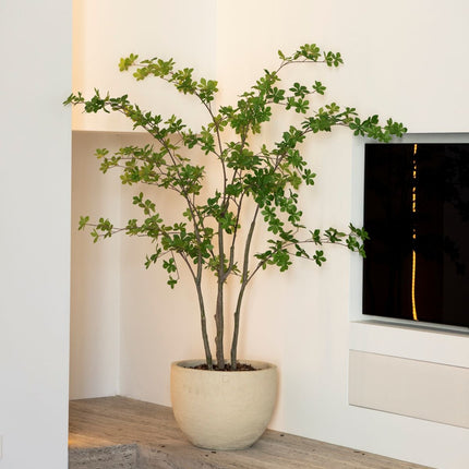 Kunstboom Enkianthus - ↕150cm