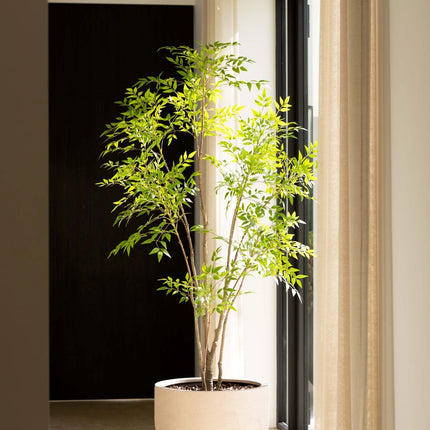 Kunstplant Nandina - ↕210cm