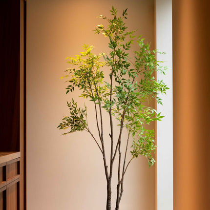 Kunstplant Nandina - ↕210cm