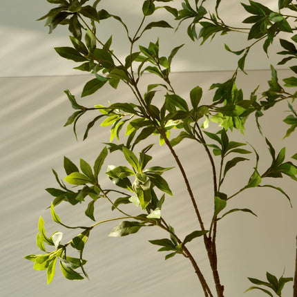 Kunstplant Pieris Japonica - ↕180cm