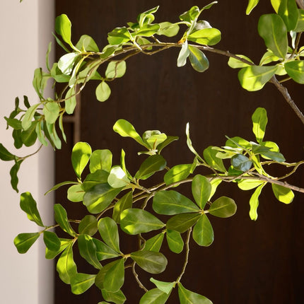 Kunstplant Moringa - ↕150cm